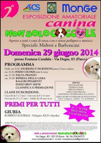raduno29giugno2014